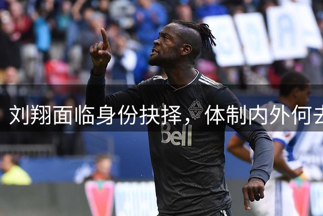 刘翔面临身份抉择，体制内外何去何从？