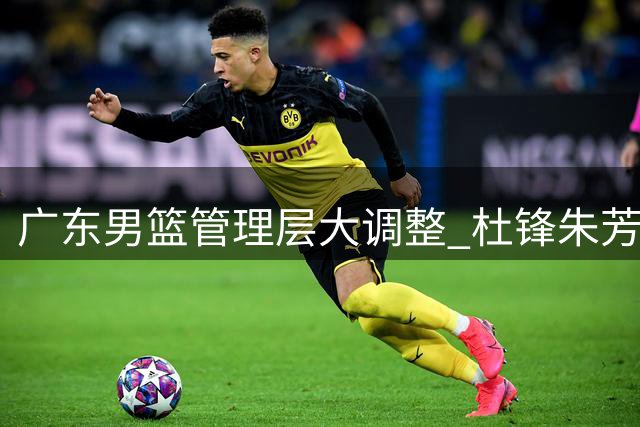 广东男篮管理层大调整 杜锋朱芳雨转任新职